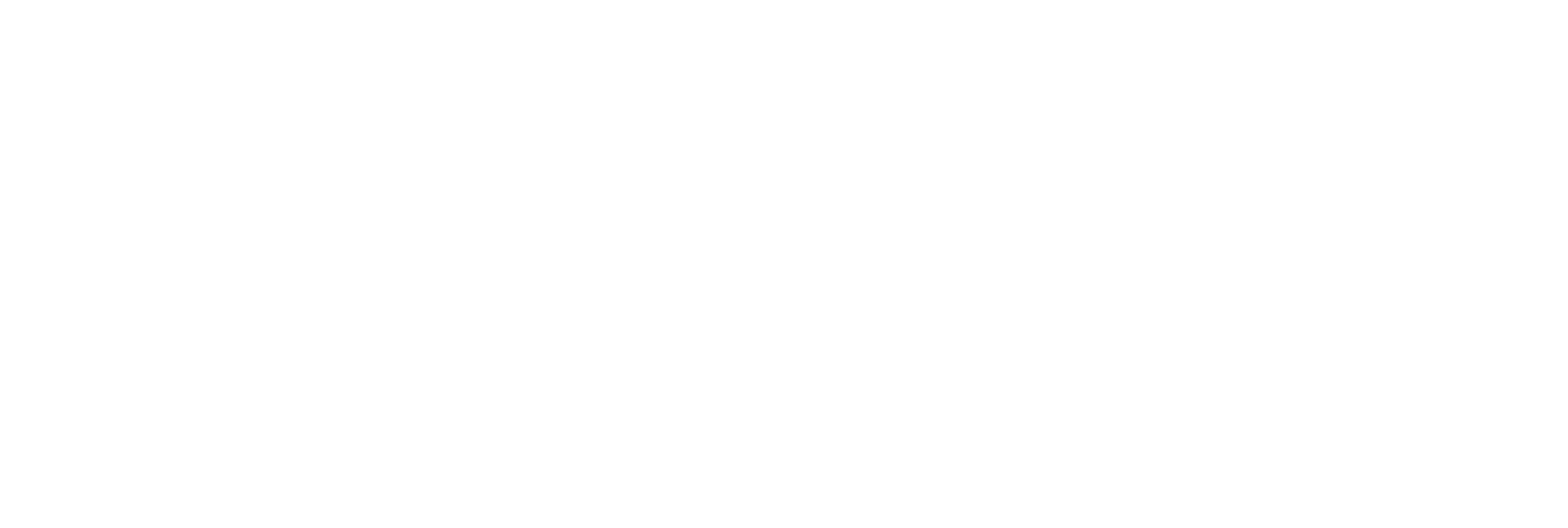 Shadowborne Chronicles Title